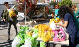 2 Ton Mama Bağışı Sokak Hayvanları ile Buluştu