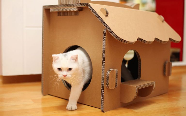 Kedi Evi Yapımı