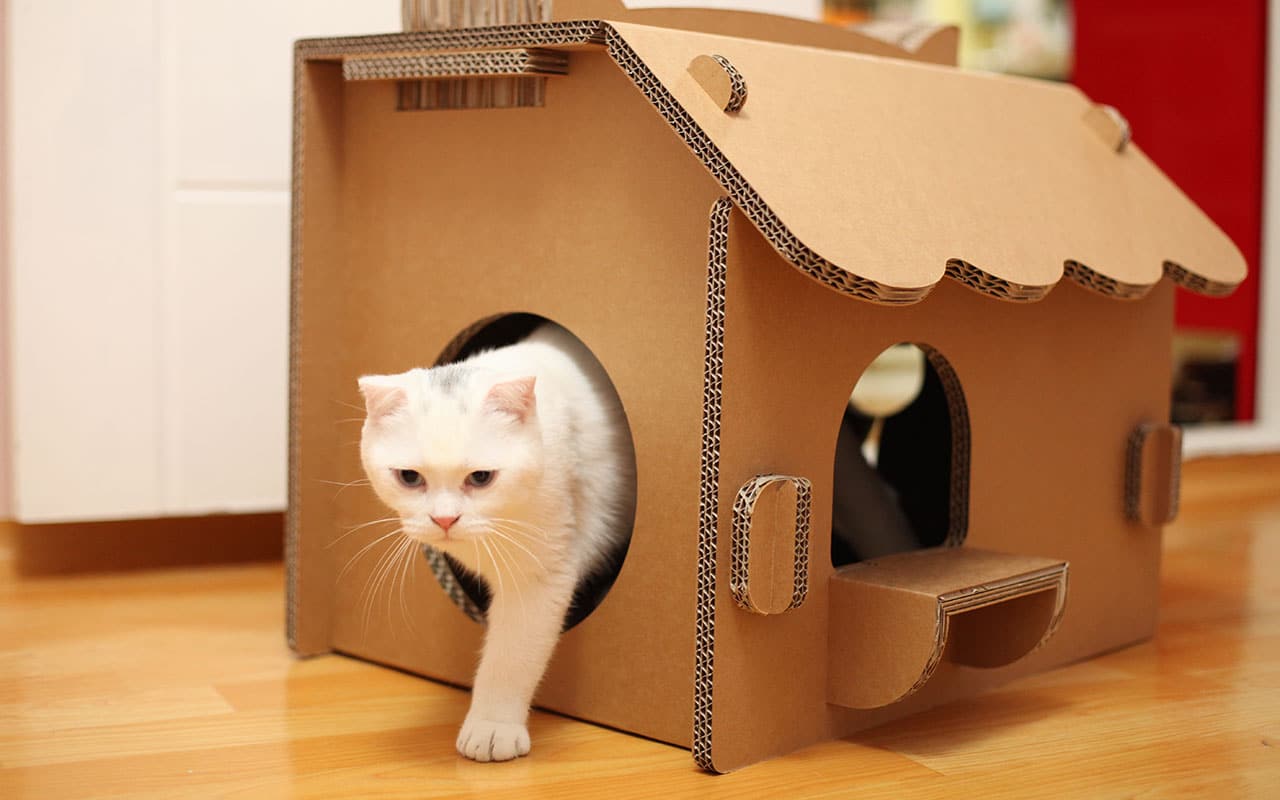 Kedi Evi Yapımı