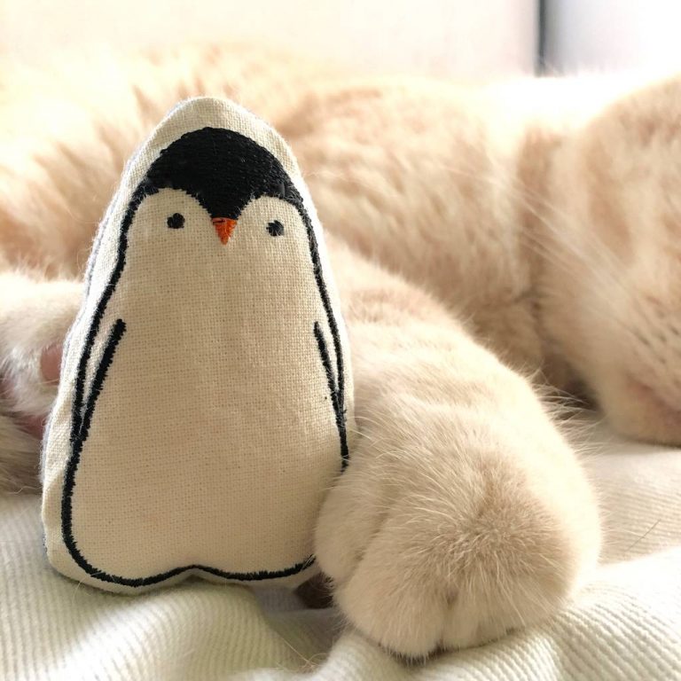 En Popüler Kedi Oyuncakları
