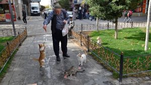 Camiye Giderken Bulduğu Kedi Hayatını Değiştirdi