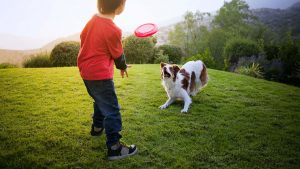 Köpekler için Egzersiz Önerileri
