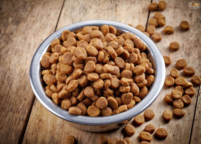 Köpek Maması Yapımı & Tarifleri