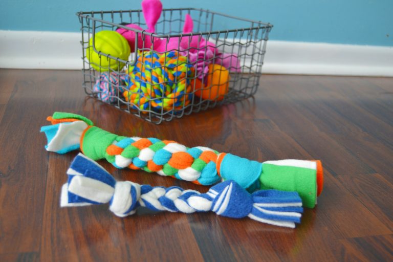Köpek Oyuncakları Yapımı